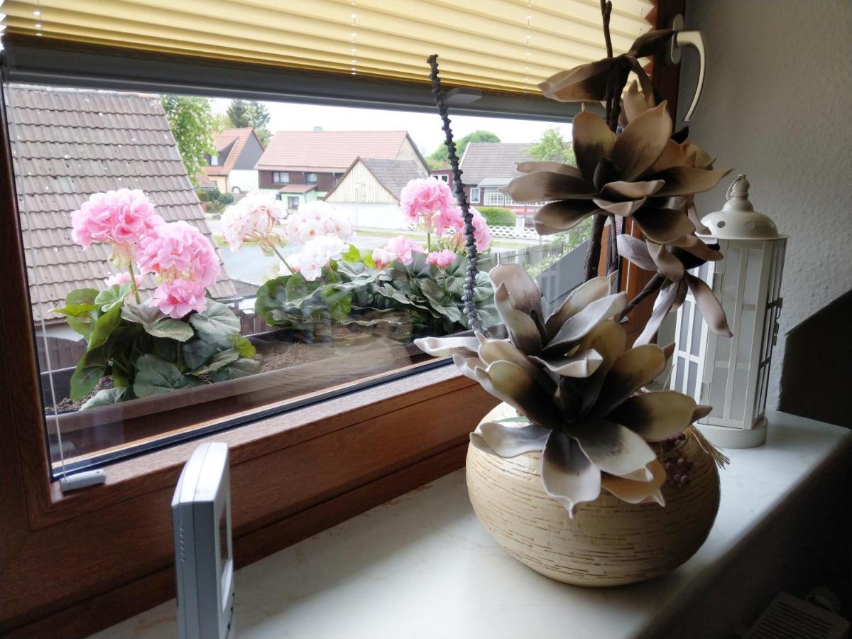 Ferienhaus Prinzler Friedrichsbrunn Esterno foto